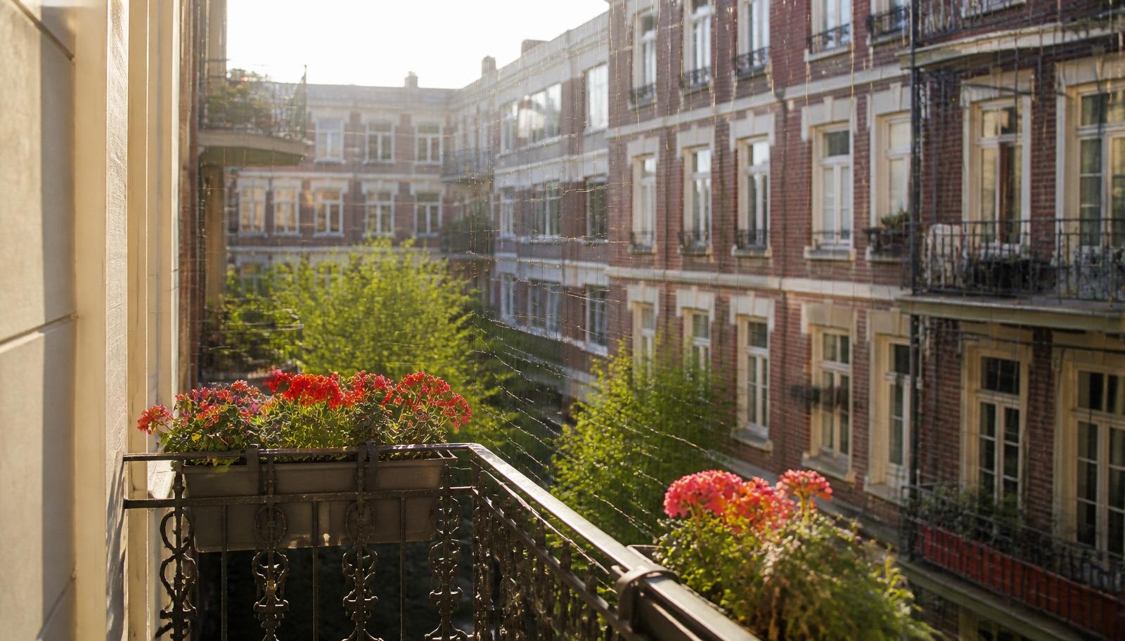 Nahezu unsichtbares Taubenschutznetz an einem Berliner Altbau-Balkon mit Geranien